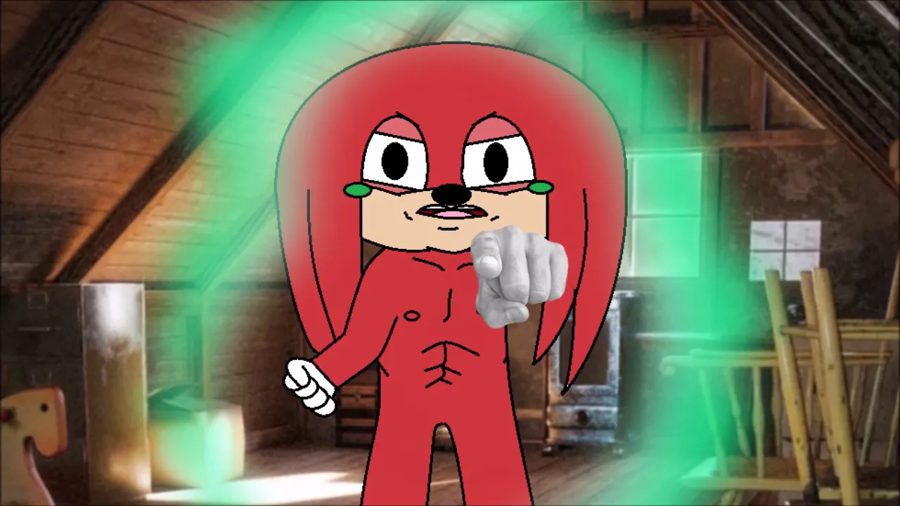 There's a Ninja in Knuckles the Echidnas Attic